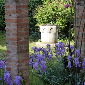 Vista Sul Canal Grande Bed & Breakfast Venezia